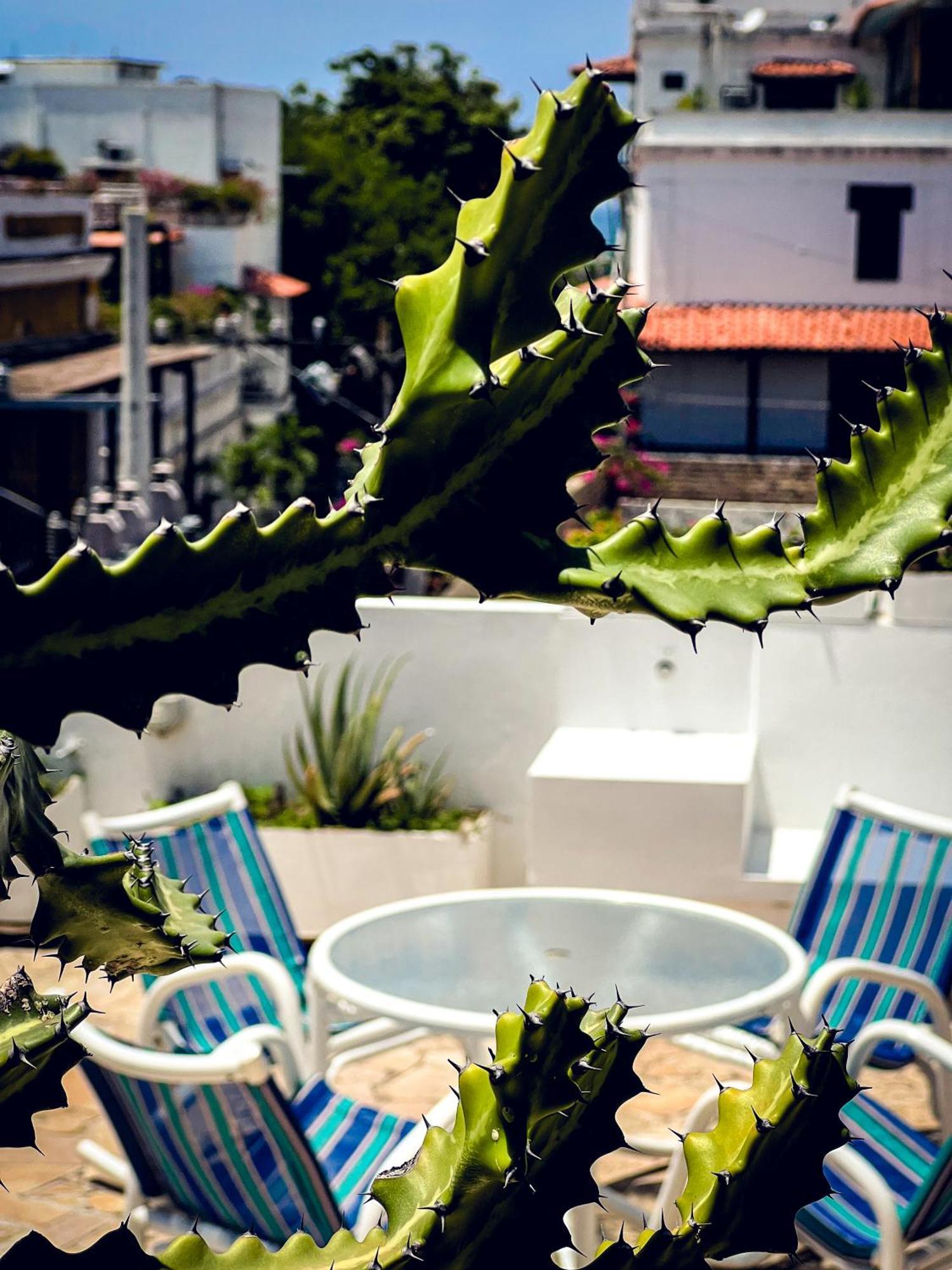 The Orange House Santa Marta Hotel Exterior photo